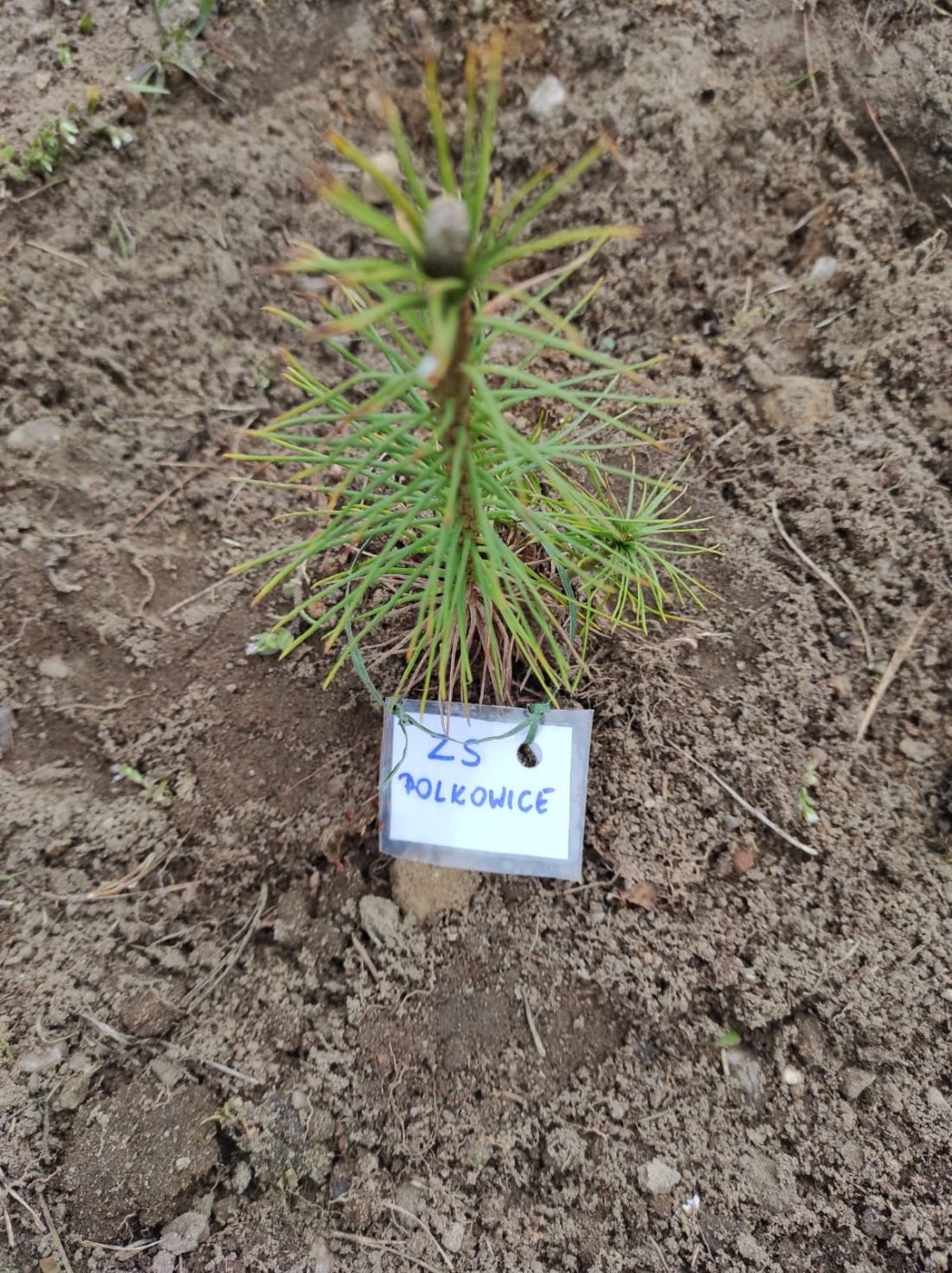 TYDZIEŃ DLA ZIEMI