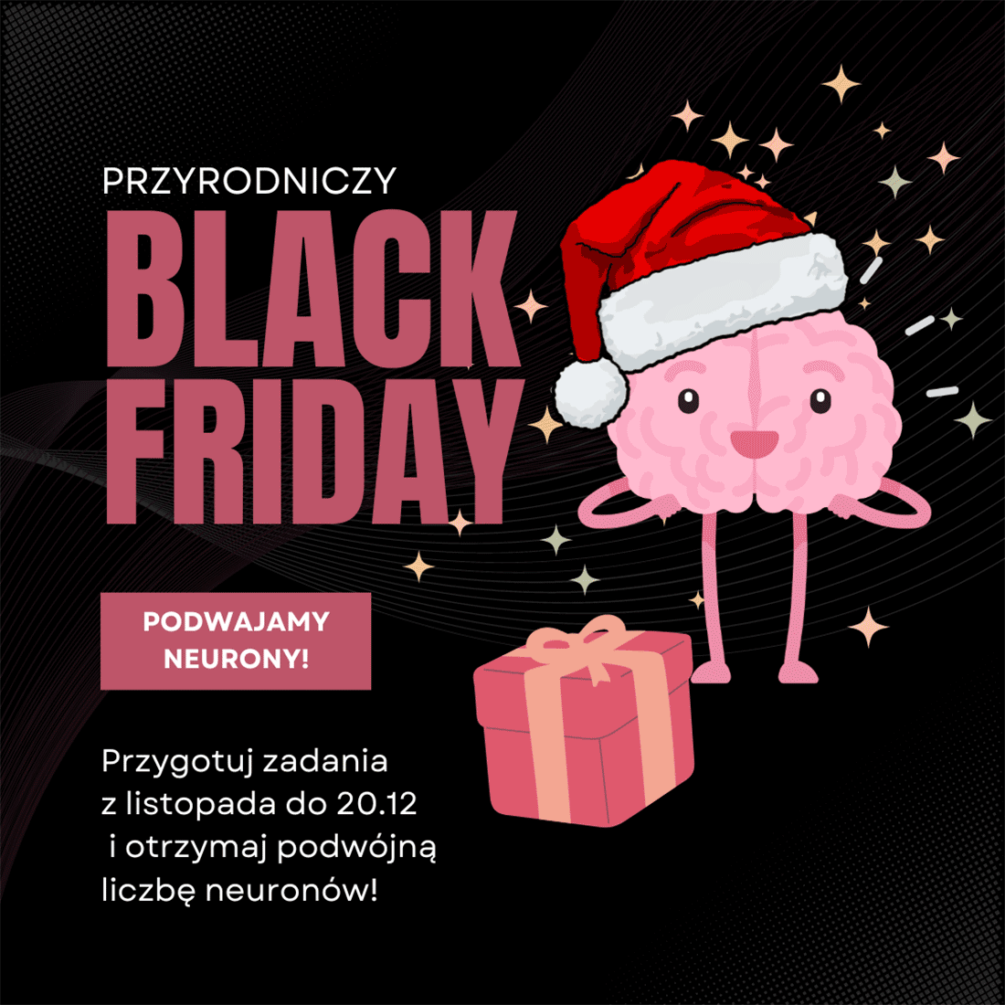 Black Friday