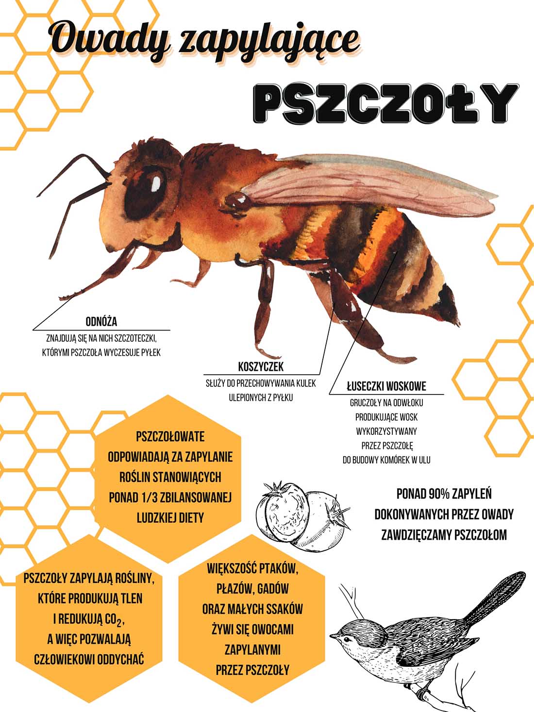 ZAPYLACZE