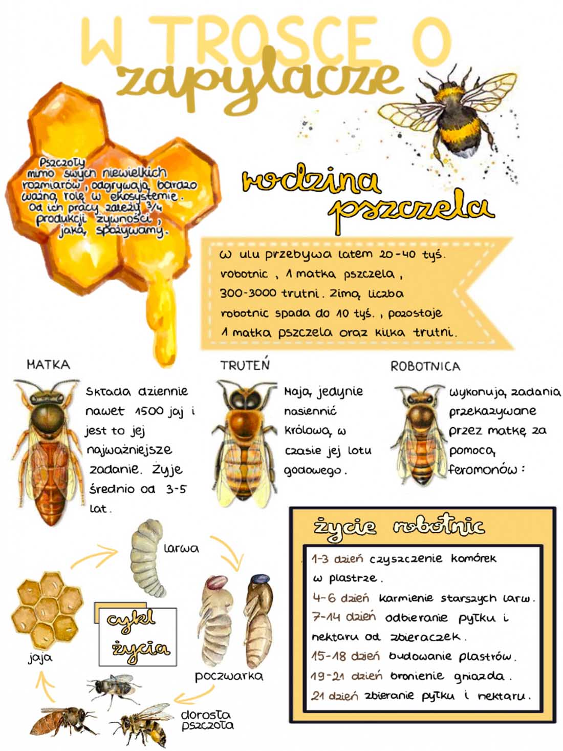 ZAPYLACZE